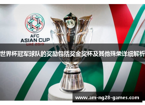 世界杯冠军球队的奖励包括奖金奖杯及其他殊荣详细解析 世界杯冠军球队的奖励包括奖金奖杯及其他殊荣详细解析